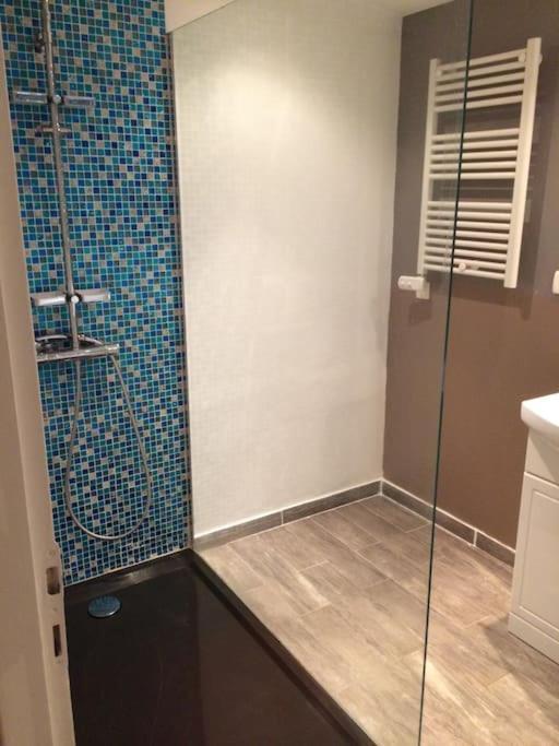 Chez Matthieu Apartment Lannemezan Ngoại thất bức ảnh